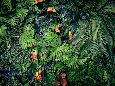 复古夏季背景摄影照片_时尚的绿色丛林夏季背景-在异国情调的复古色调.