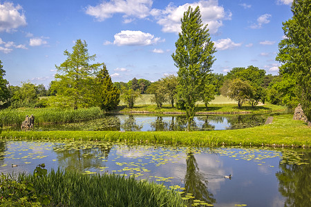 德国田园诗般的英语公园。它是在第十八世纪末创造的.