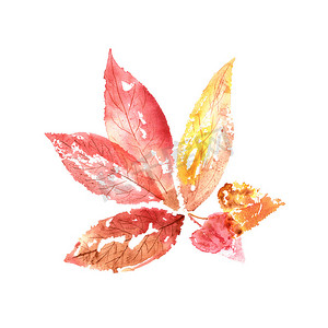 水彩手绘红色和黄色的秋天的树叶