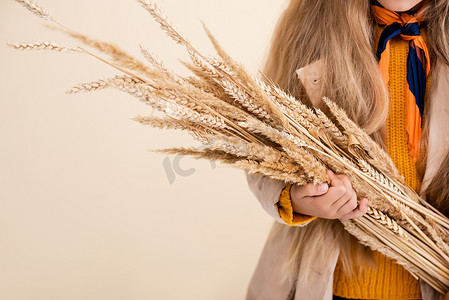 秋装新服装摄影照片_穿着秋装的金发美女拿着米黄色的麦穗的剪影