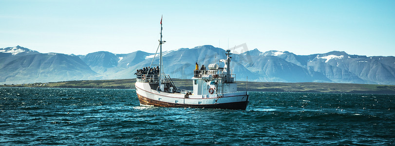 冰岛的渔船，观看鲸鱼.
