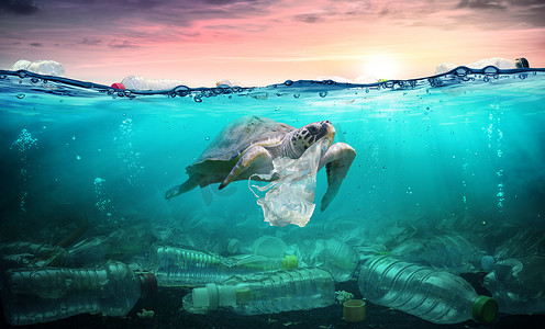 海洋中的塑料污染-海龟吃塑料袋-环境问题