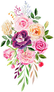 手绘水彩样机剪贴画模板的玫瑰