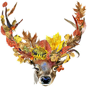 森林动物狍自然多彩树叶背景、 水果、 浆果、 蘑菇的秋天，黄色的叶子，玫瑰果在黑色背景上。水彩插图