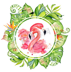 水彩绿色水彩叶子摄影照片_粉红色火烈鸟水彩手绘插图在安排与绿色热带植物, 异国情调的竹和香蕉叶子