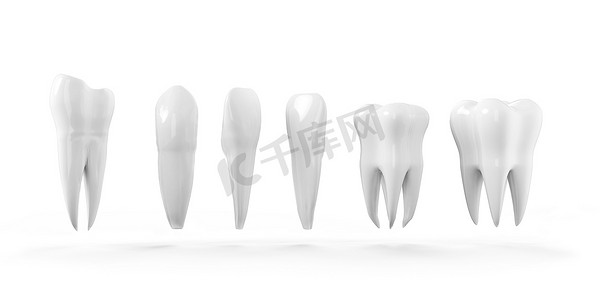 口腔设计摄影照片_牙齿孤立的图标集。健康的牙齿 3d 插图与白色搪瓷和根。牙科，牙科保健服务，牙医办公室，口腔卫生主题设计
