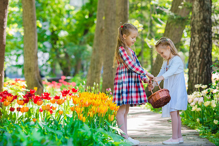 春天的花园，春天的花朵，可爱小女孩和郁金香。可爱的孩子，提着一个篮子中盛开的花园上温暖的日子