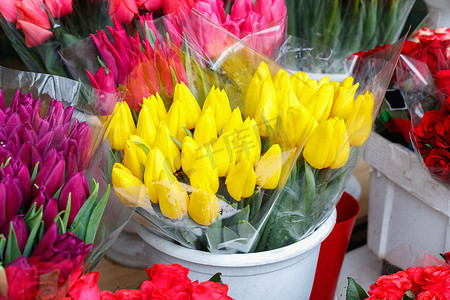 五颜六色的郁金香, 玫瑰和其他花在锅在进入小花店 