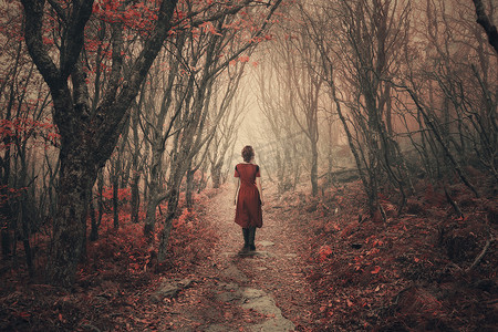 女人和迷雾森林.
