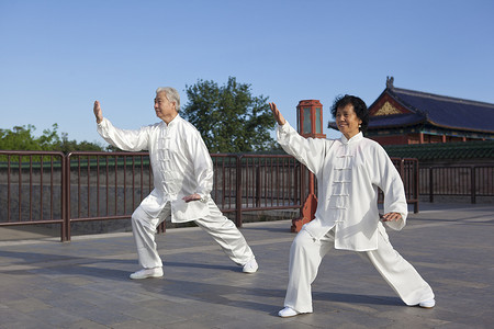 陈式太极拳摄影照片_两个老人在公园玩太极拳