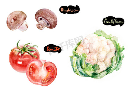 蘑菇, 卷心菜, 西红柿水彩.