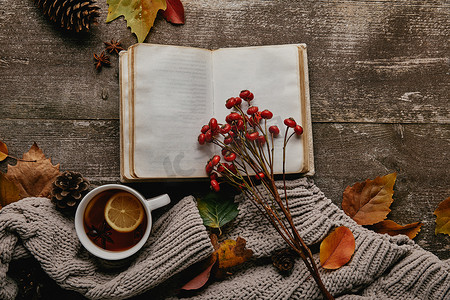 平躺着空白笔记本, 红色冬青浆果, 一杯茶和毛衣在木制桌面上
