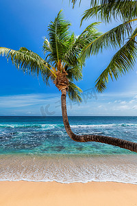 热带白沙滩上的可可棕榈和加勒比海岛上的绿松石海.