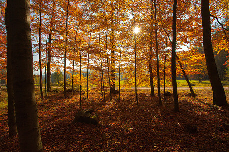 波西米亚垫子摄影照片_在德国的山脉和森林-远足旅游在秋天