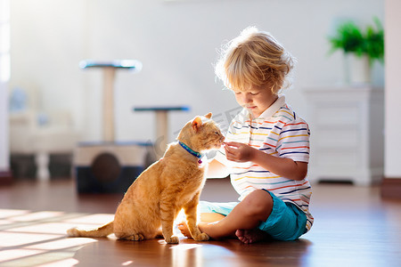 刮胡刀海报摄影照片_孩子在家里玩猫。儿童和宠物.