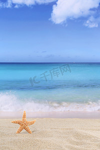 夏天与海洋之星一起度假海滩背景场景