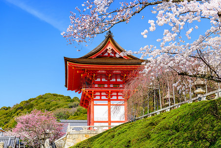 日本清水寺摄影照片_京都议定书在春天