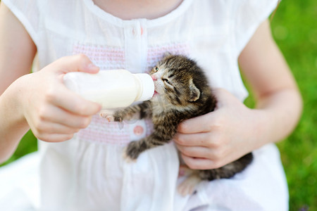 小女孩喂小小猫 