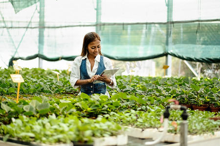 年轻俏丽的亚洲妇女农学与片剂工作在温室检查植物.