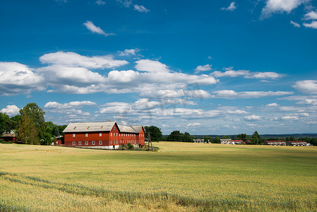 乡村场面与领域和房子在蓝天之下, Hamar, Hedmark, 挪威