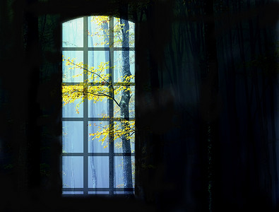 上一个黑色的背景，俯瞰着秋天的树分支的窗口的图像