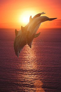 组在日落时跳跃海豚