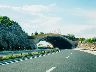 云南过桥米线菜单摄影照片_动物的道路上的桥梁。绿色的大桥路