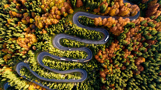 Top view of beautiful asphalt roadway and orange trees during autumn season. Curvy forest road in Europe