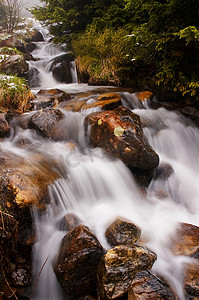 青翠摄影照片_山川流过青翠的森林.树林里的溪流.