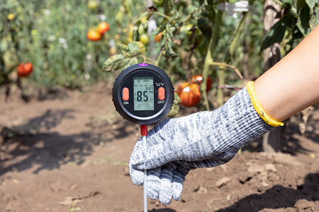 菜园土壤pH值、环境光照和湿度的测定