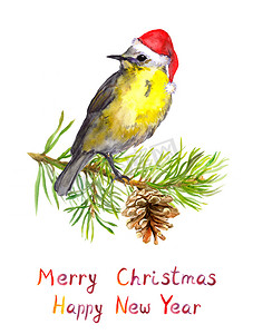 圣诞围巾摄影照片_松果圣诞棵树上的鸟。水彩明信片