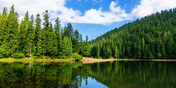 深林风景摄影照片_夏天的山湖