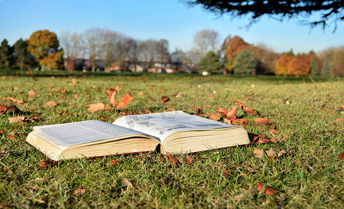 在晴朗的一天在公园里读的书 