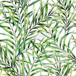 水彩图案与壮观的棕榈树叶子。手绘异国情调的绿叶树枝。植物学插图。用于设计、打印或背景.