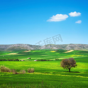 阿普利亚的乡村景色,翻滚的山丘和绿地的风景.Murge Poggiorsini，意大利巴里，欧洲