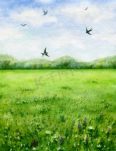 绿色的草地和飞翔的鸟夏天视图.
