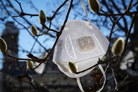 医疗防护口罩摄影照片_悬挂在树枝上的口罩