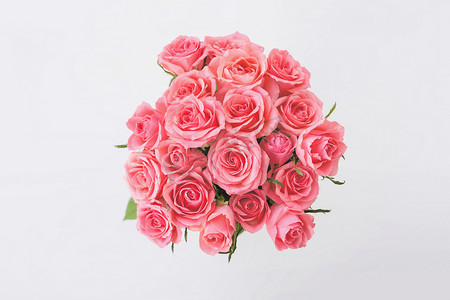 一束美丽的粉红色玫瑰,开满了花,背景洁白.一束花.