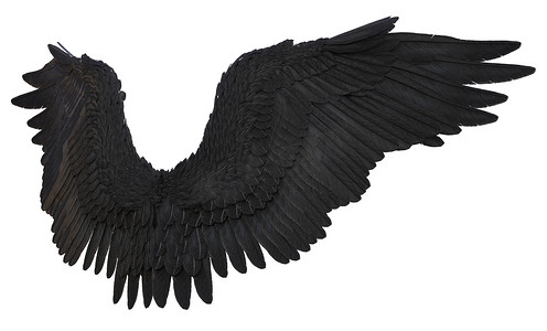 3d 渲染的黑色幻想天使翅膀在白色背景 - 3d 插图