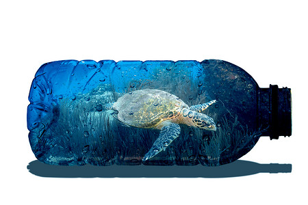 清晰的摄影照片_自然概念设计的形象在一个清晰的瓶子里.自然中塑料废物的概念