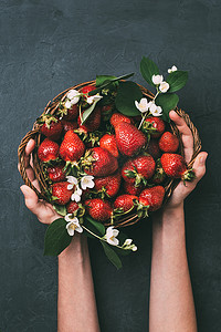 茉莉花照片摄影照片_带新鲜成熟草莓和茉莉花的人手持篮的裁剪照片