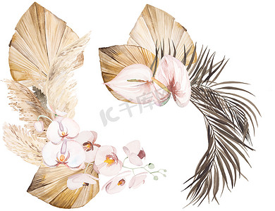 两束水彩缤纷的波希米亚花，有热带和棉花，干棕榈叶和潘帕斯草插图，与复制空间隔离。婚纱设计、问候卡片、手工制作的米色安排