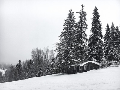 在针叶林的冬天风景。废弃的旧木屋, 在乌克兰的一座雪山上的森林小屋, 在大雾密布的多云天气