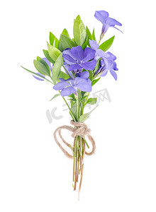带蓝色花瓣的小花花束