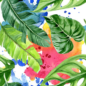 异国情调的热带夏威夷棕榈树叶。水彩背景插图集。无缝背景模式. 