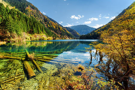 美丽的风景箭头竹湖与水晶清水