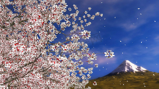 飘落花瓣背景摄影照片_茂盛盛开的樱桃树的特写，开满鲜花，花瓣飘落，富士山在远方。春天季节自然背景3D图解来自我的3D渲染文件.