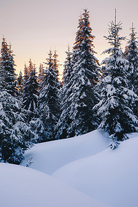 魔法冬季森林覆盖在日落时分