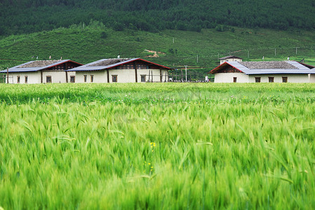 西藏住宅楼