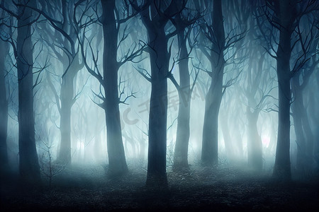 森林光芒摄影照片_夜深人静，雾气弥漫，神秘的光芒闪耀在迷人的森林里。3D数字图像